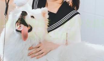 穿着拖鞋的河豚抚子：居家少女的美图壁纸实在太随便